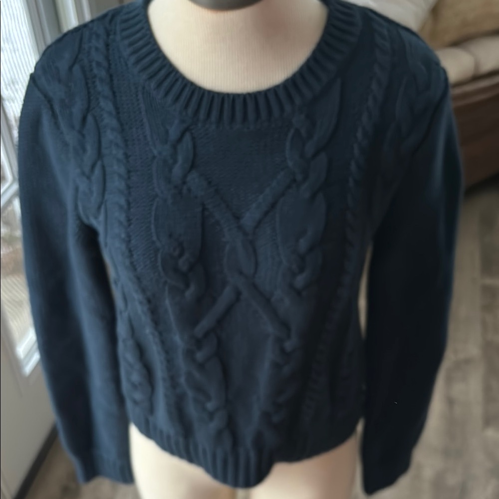 Gently worn Banana Republicpublic sweater